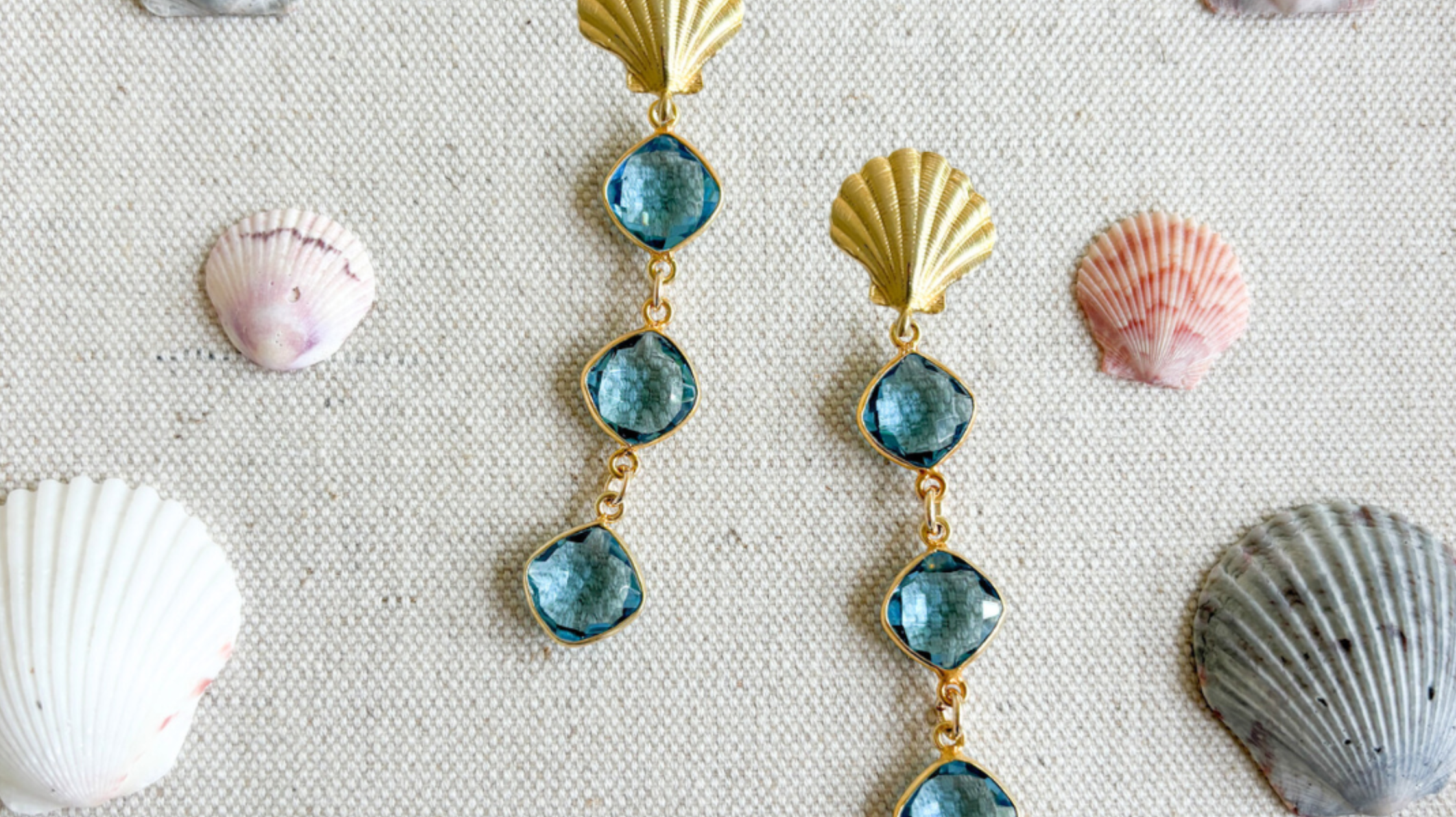We love SHELLS!